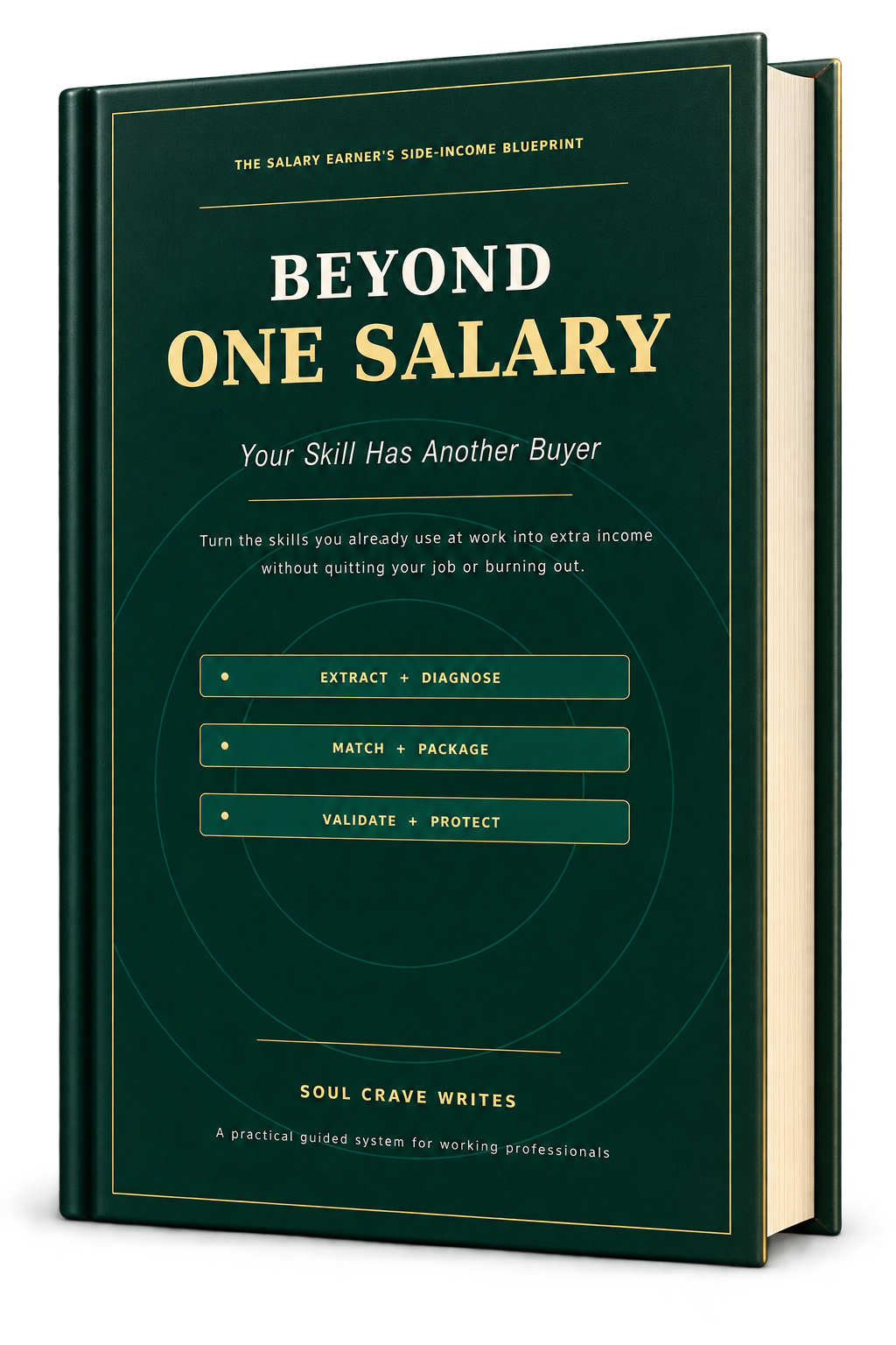 Beyond One Salary - Your Skill Has Another Buyer premium digital guide